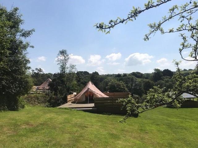 Willow Valley Glamping Bude Ngoại thất bức ảnh